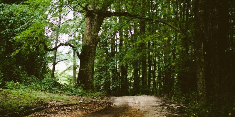 激光加工新纪元：激光选区熔化技术如何重塑个性化医疗植入物制造