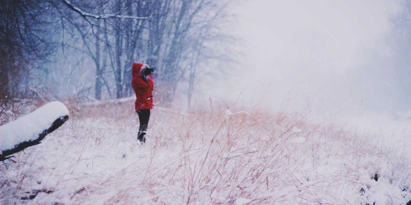 激光打标之外：激光诱导击穿光谱技术如何赋能在线成分分析，引领工业智能升级