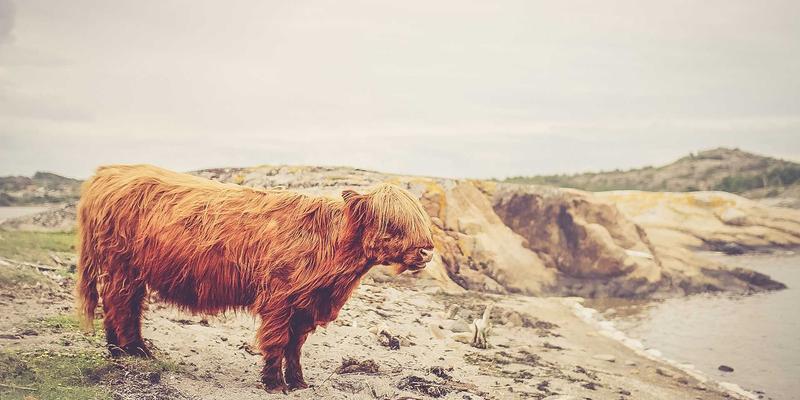 激光技术赋能未来出行：解析光纤激光器在新能源汽车电池焊接中的关键突破
