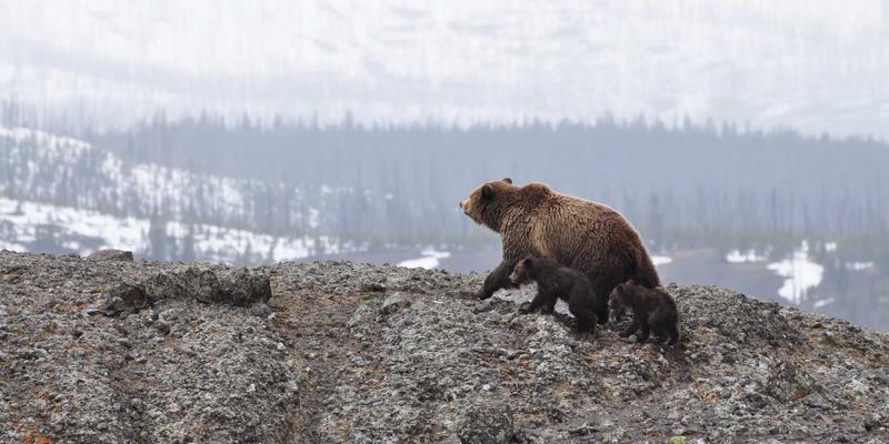 激光设备进阶指南：从激光打标到智能化服务平台的全方位解析