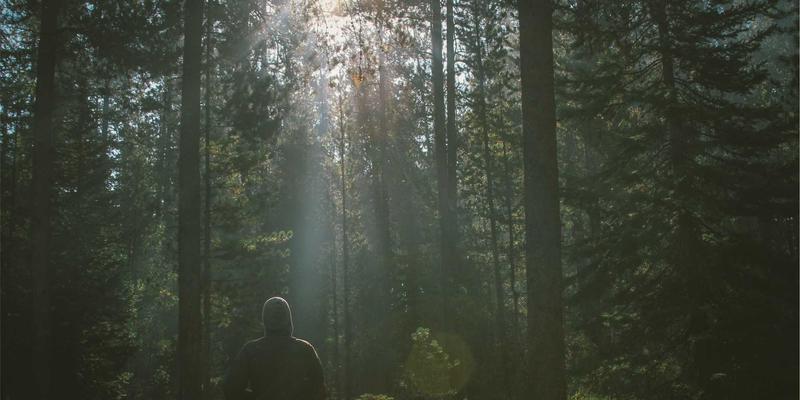 激光选区熔化(SLM)3D打印技术：定制化医疗植入物的革命，从激光打标、焊接到切割的精密协同